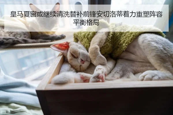 皇马夏窗或继续清洗替补前锋安切洛蒂着力重塑阵容平衡格局